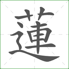 蓮的笔顺
