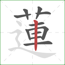 蓮的笔顺第11画：竖