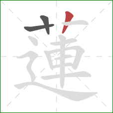 蓮的笔顺第3画：竖