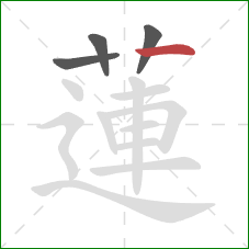 蓮的笔顺第4画：横