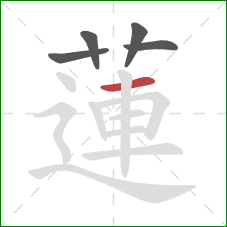 蓮的笔顺第5画：横
