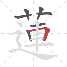 蓮的笔顺第7画：横折