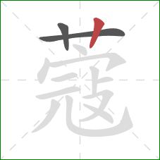 蔻的笔顺第3画：竖