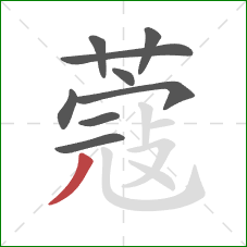 蔻的笔顺第9画：撇