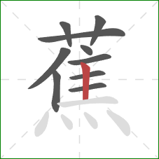 蕉的笔顺第10画:竖 蕉的笔顺第10画:竖