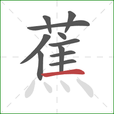 蕉的笔顺第11画:横 蕉的笔顺第11画:横