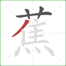 蕉的笔顺第4画:撇 蕉的笔顺第4画:撇