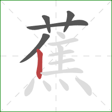 蕉的笔顺第5画:竖 蕉的笔顺第5画:竖
