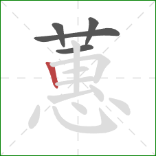 蕙的笔顺第5画:竖 蕙的笔顺第5画:竖