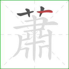 蕭的笔顺第4画：横