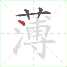 薄的笔顺第4画：点