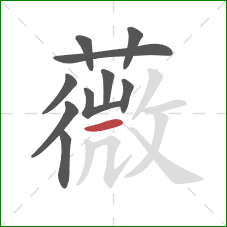 薇的笔顺第10画：横