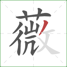 薇的笔顺第13画：撇