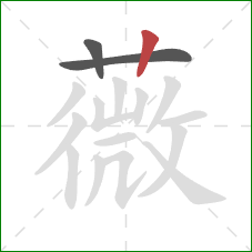 薇的笔顺第3画：竖