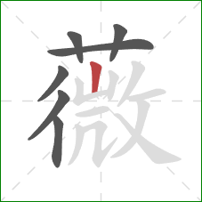 薇的笔顺第7画：竖