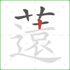 薳的笔顺第6画：横