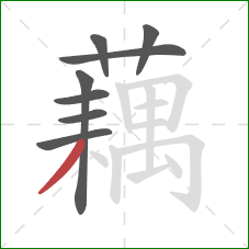 藕的笔顺第8画:撇 藕的笔顺第8画:撇