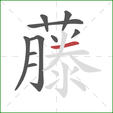 藤的笔顺第10画:横 藤的笔顺第10画:横