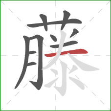 藤的笔顺第11画:横 藤的笔顺第11画:横