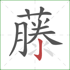 藤的笔顺第14画:竖钩 藤的笔顺第14画:竖钩