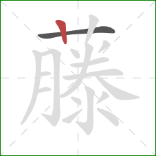 藤的笔顺第2画:竖 藤的笔顺第2画:竖