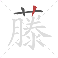 藤的笔顺第3画:竖 藤的笔顺第3画:竖