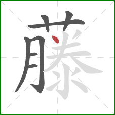 藤的笔顺第8画:点 藤的笔顺第8画:点