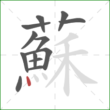 蘇的笔顺第13画：点