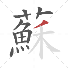 蘇的笔顺第16画：撇