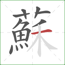 蘇的笔顺第17画：横