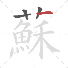 蘇的笔顺第4画：横