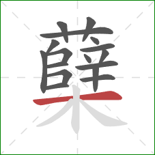 蘖的笔顺第17画:横 蘖的笔顺第17画:横