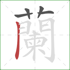 蘭的笔顺第5画：横
