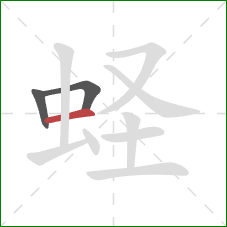 蛏的笔顺第3画：横