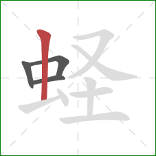 蛏的笔顺第4画：竖