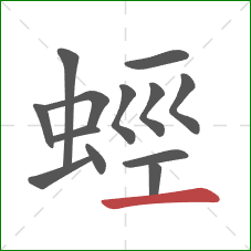 蛵的笔顺第13画：横