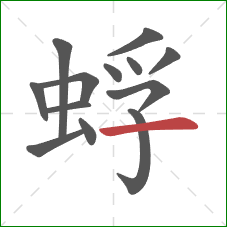 蜉的笔顺第13画:横 蜉的笔顺第13画:横