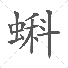 蝌的笔顺