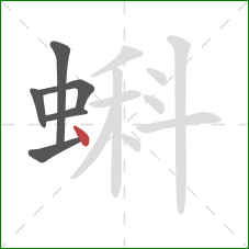 蝌的笔顺第6画：点