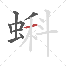 蝌的笔顺第8画：横