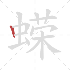 蝾的笔顺第1画:竖 蝾的笔顺第1画:竖