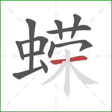 蝾的笔顺第12画:横 蝾的笔顺第12画:横