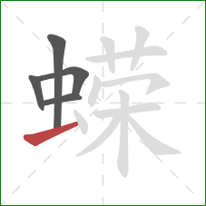 蝾的笔顺第5画:横 蝾的笔顺第5画:横