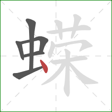 蝾的笔顺第6画:点 蝾的笔顺第6画:点