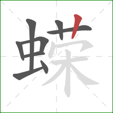 蝾的笔顺第9画:竖 蝾的笔顺第9画:竖