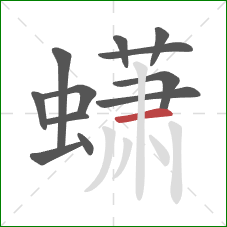 蟏的笔顺第12画：横