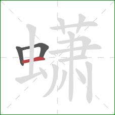 蟏的笔顺第3画：横