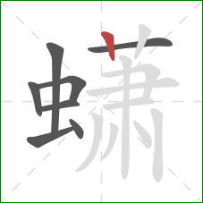 蟏的笔顺第8画：竖