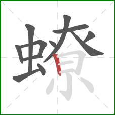 蟟的笔顺第12画：竖
