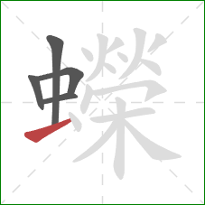 蠑的笔顺第5画:横 蠑的笔顺第5画:横